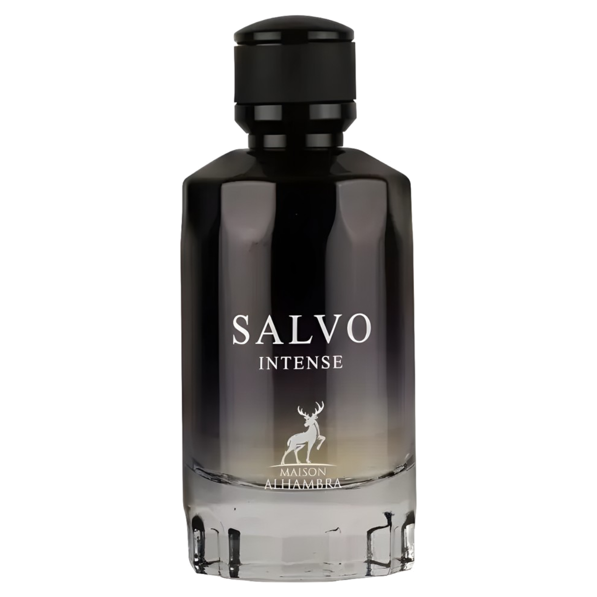 Salvo Intense