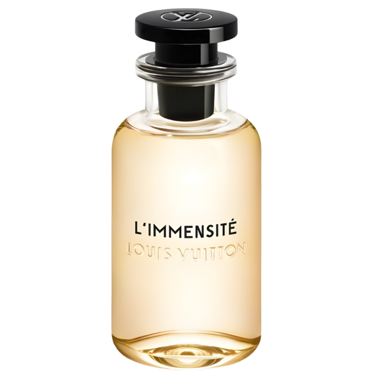 L'Immensité
