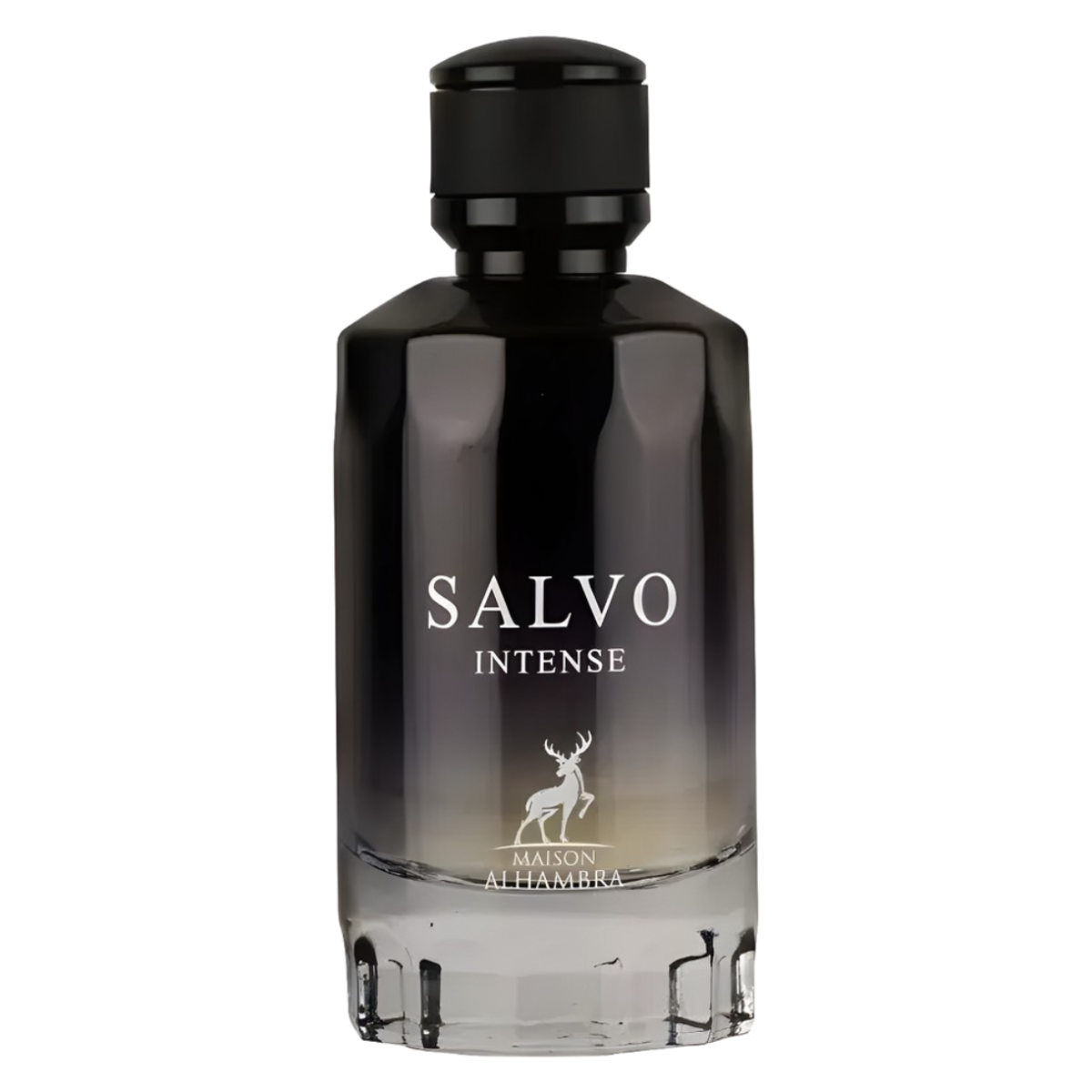 Salvo Intense