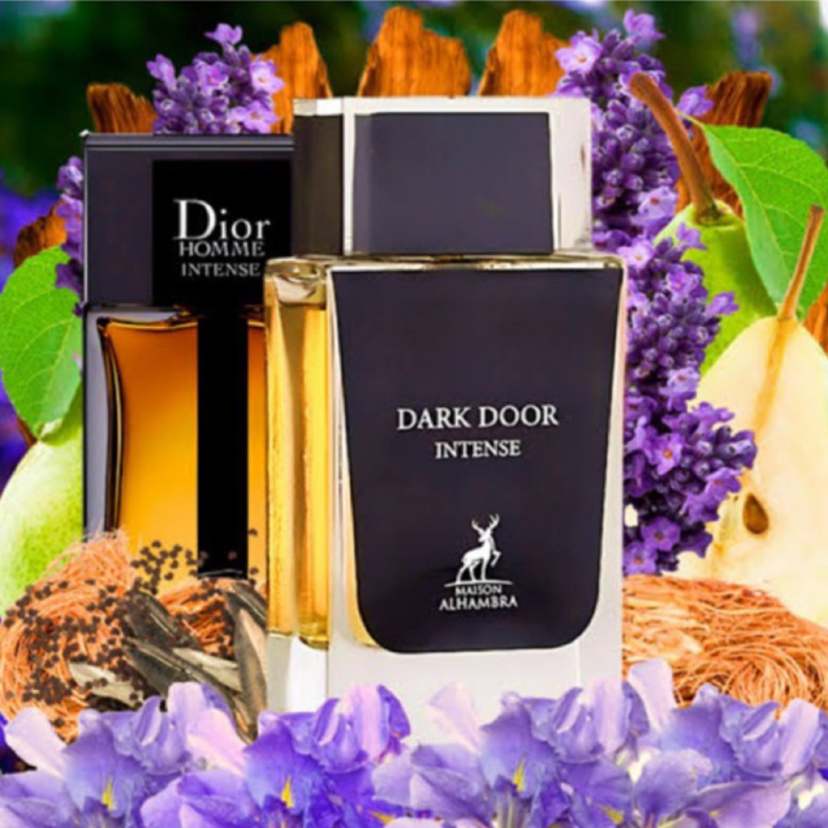 Dark Door Intense
